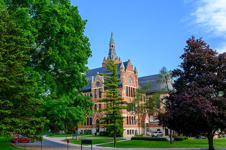 Wittenberg Trees