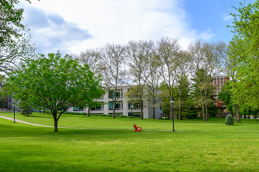 Wittenberg Trees