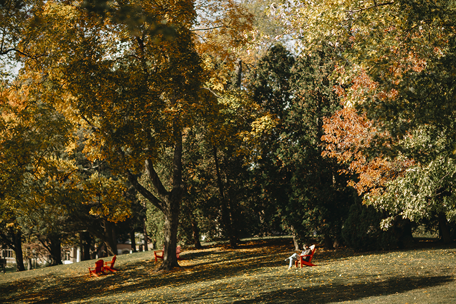 Wittenberg Trees