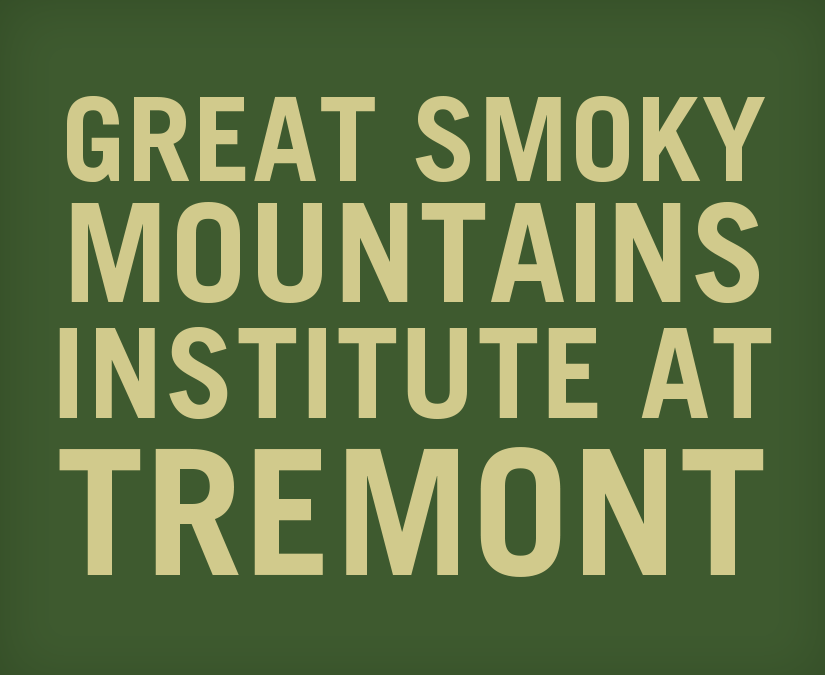 Great Smoky Mountains Institute STEM Logo