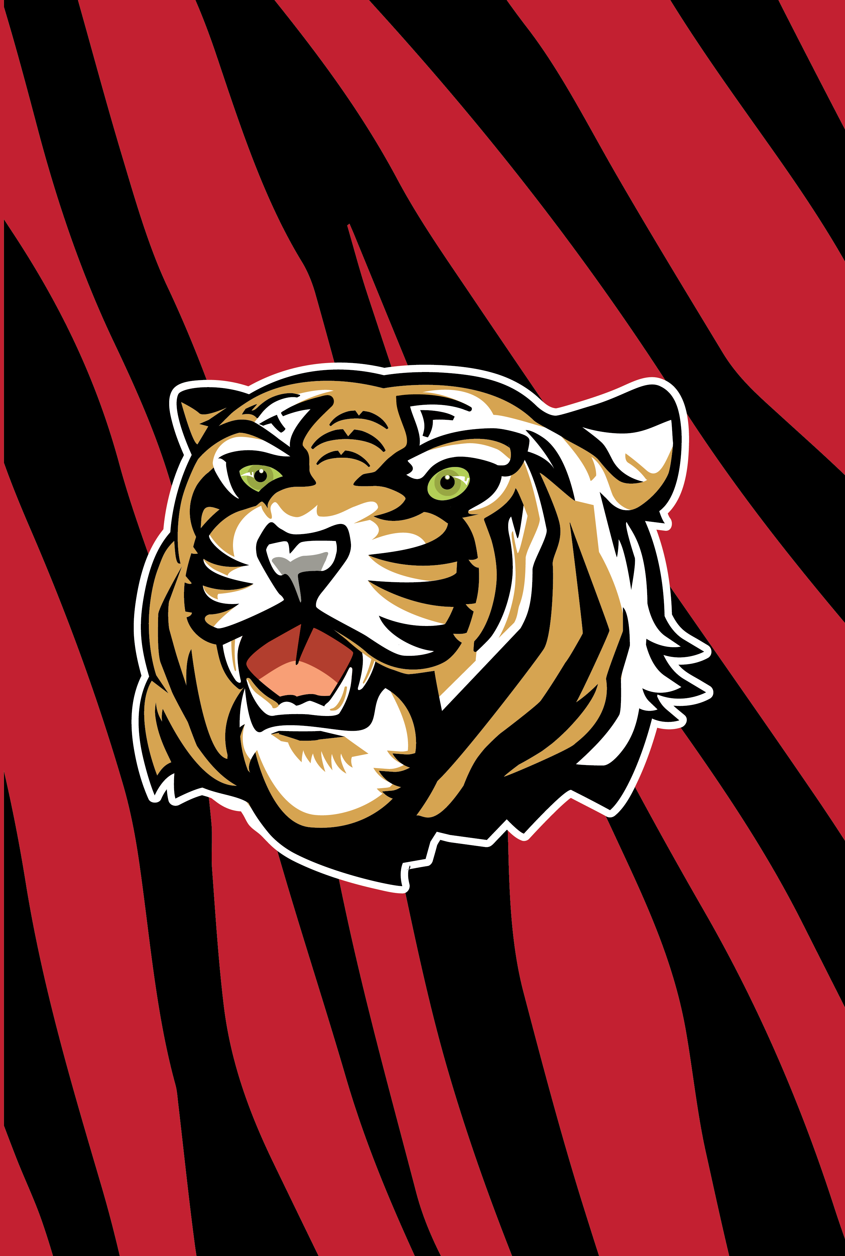 Download Cincinnati Bengals Tiger Logo Wallpaper