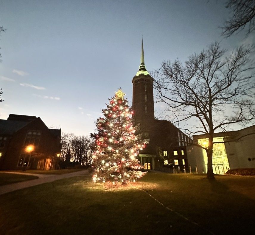 Tree With Lights For Christmas