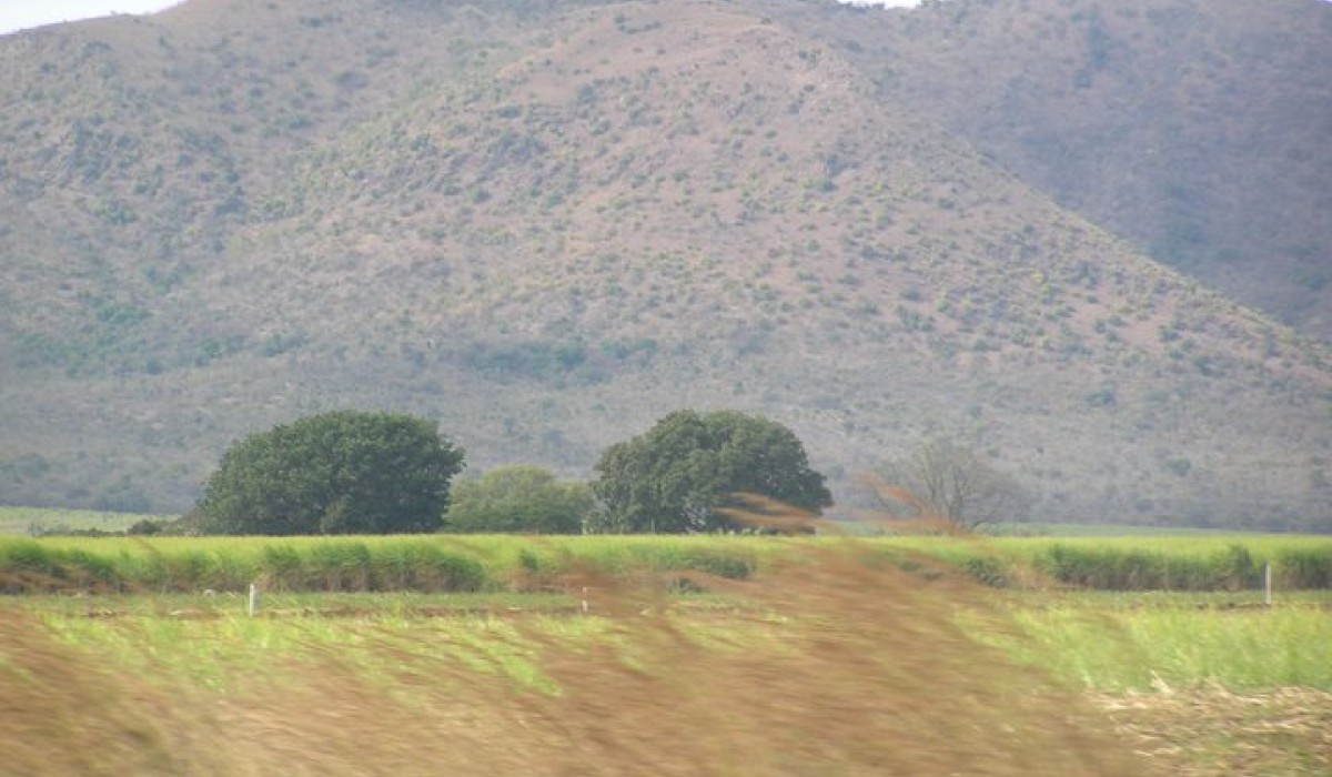 Lesotho Mountain Side