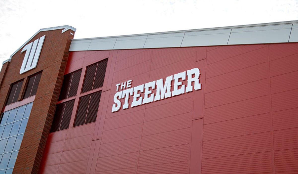 The Steemer