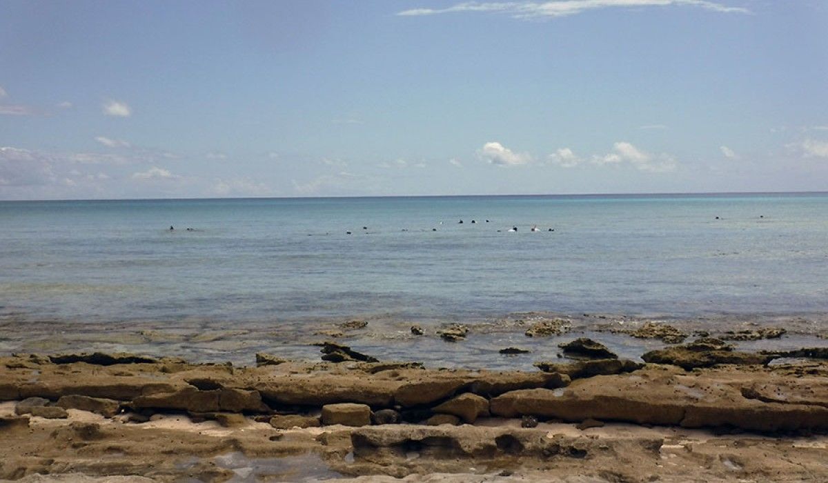 View of snorkelers in shallow water near shore