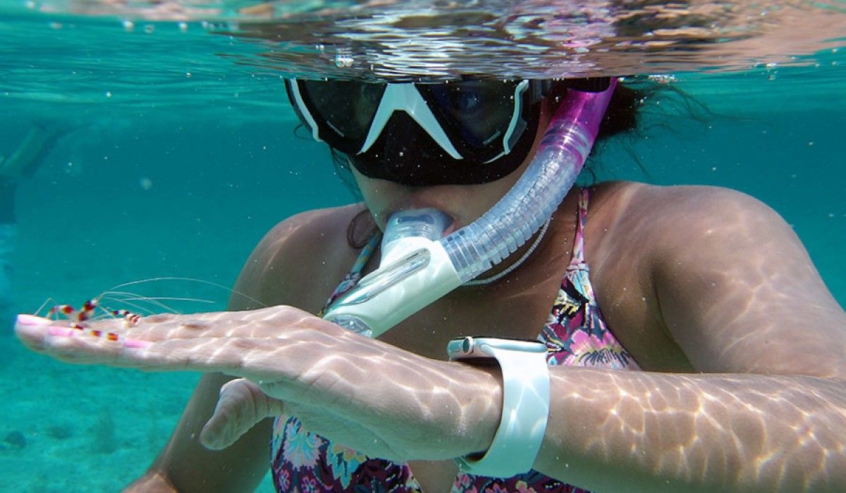 a student snorkeling with a shrimp cleaning her hand