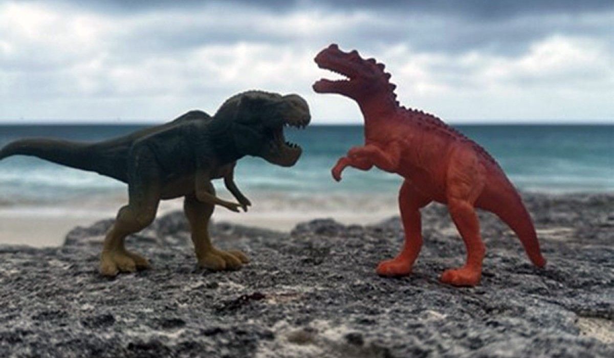 Dino Toys On Beach