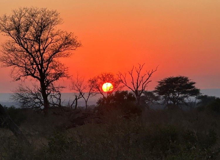 Sunset in Kruger National Safari