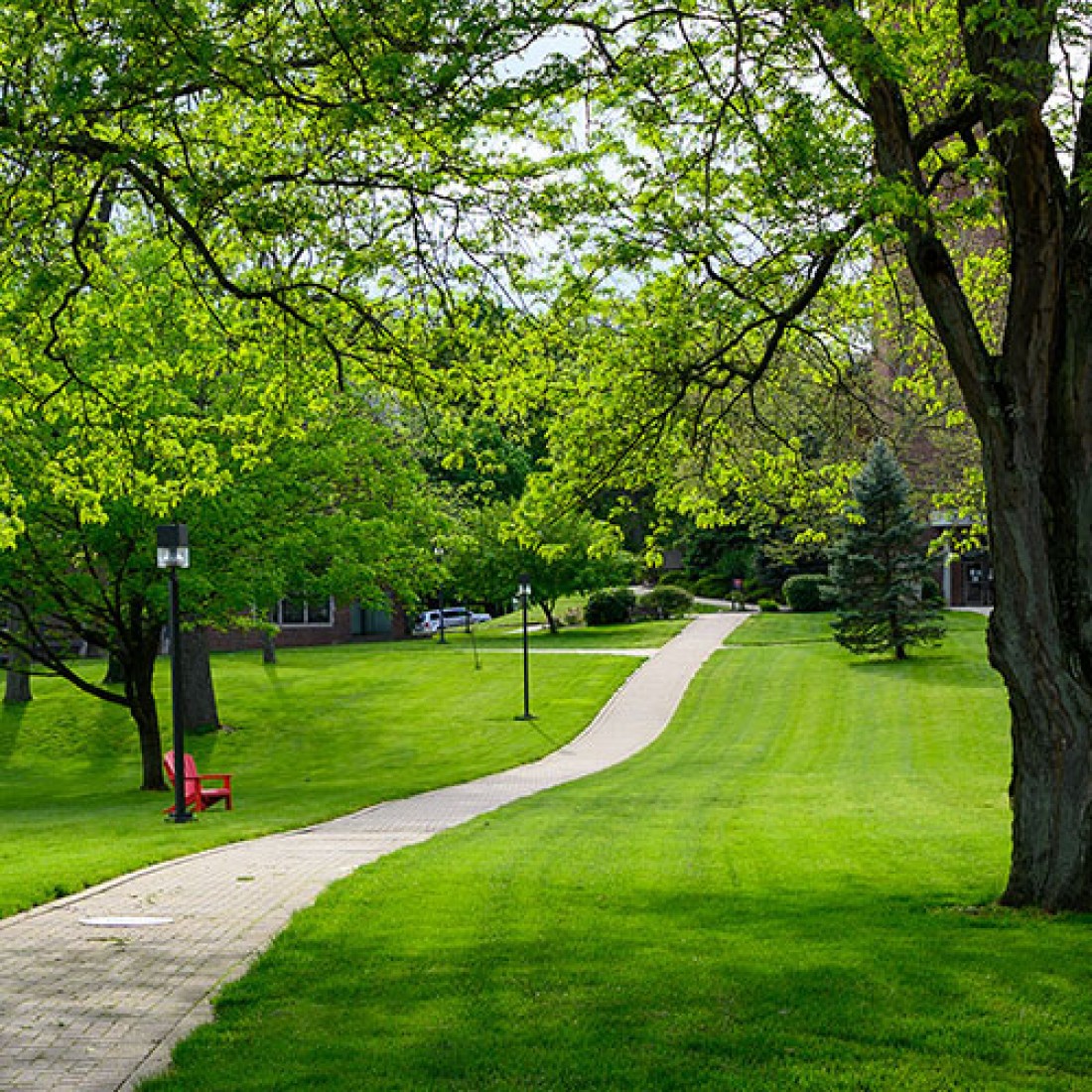 Campus Landscape